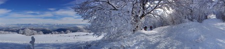 Panorama dans la neige
